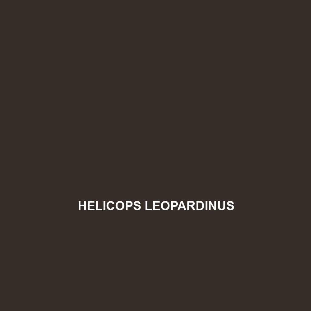 Helicops leopardinus