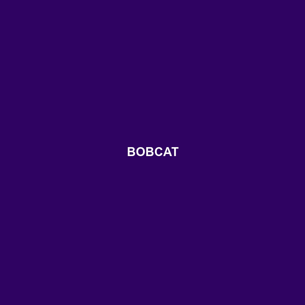 Bobcat