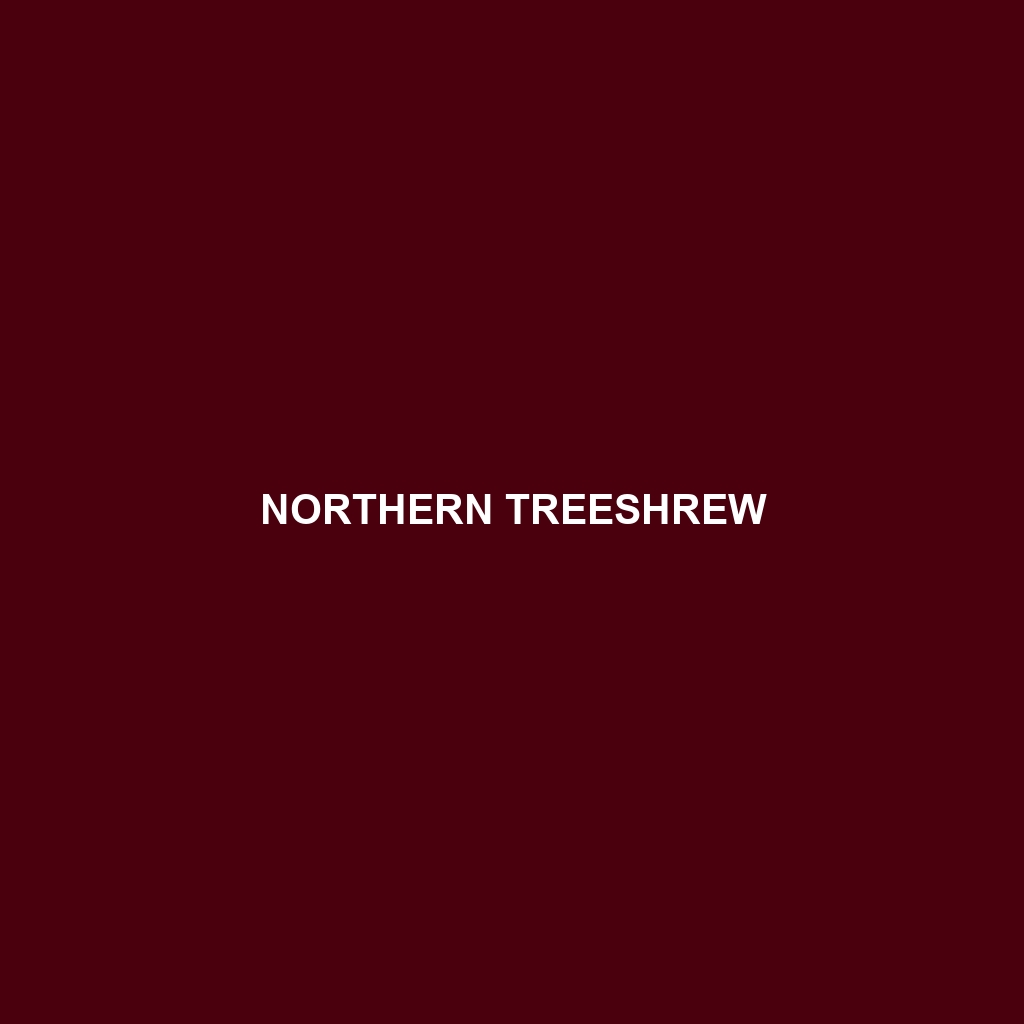 Northern Treeshrew