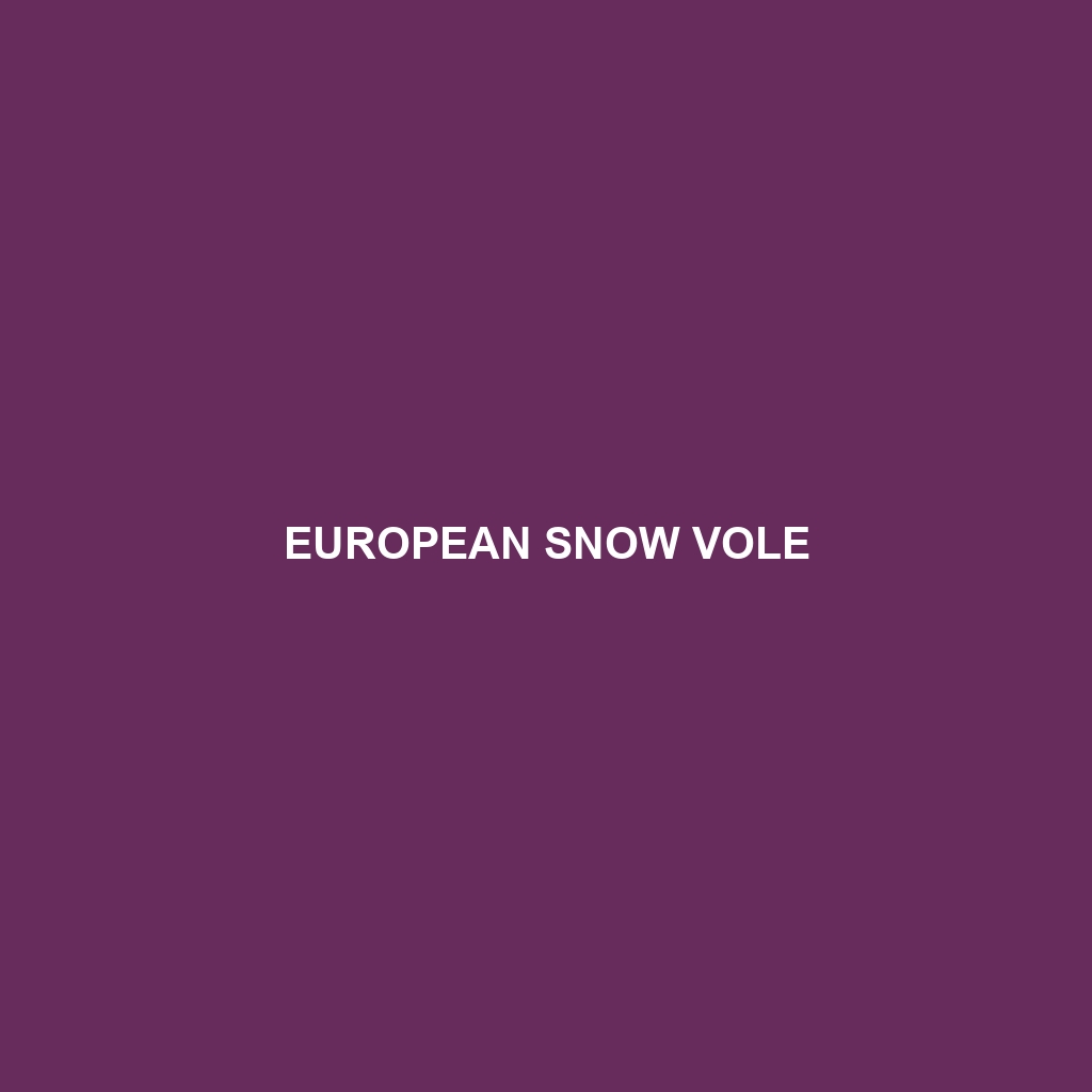 European Snow Vole