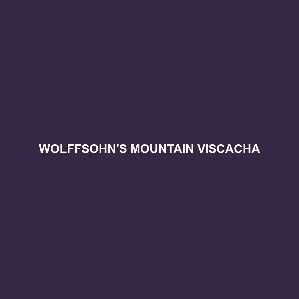 Wolffsohn's Mountain Viscacha