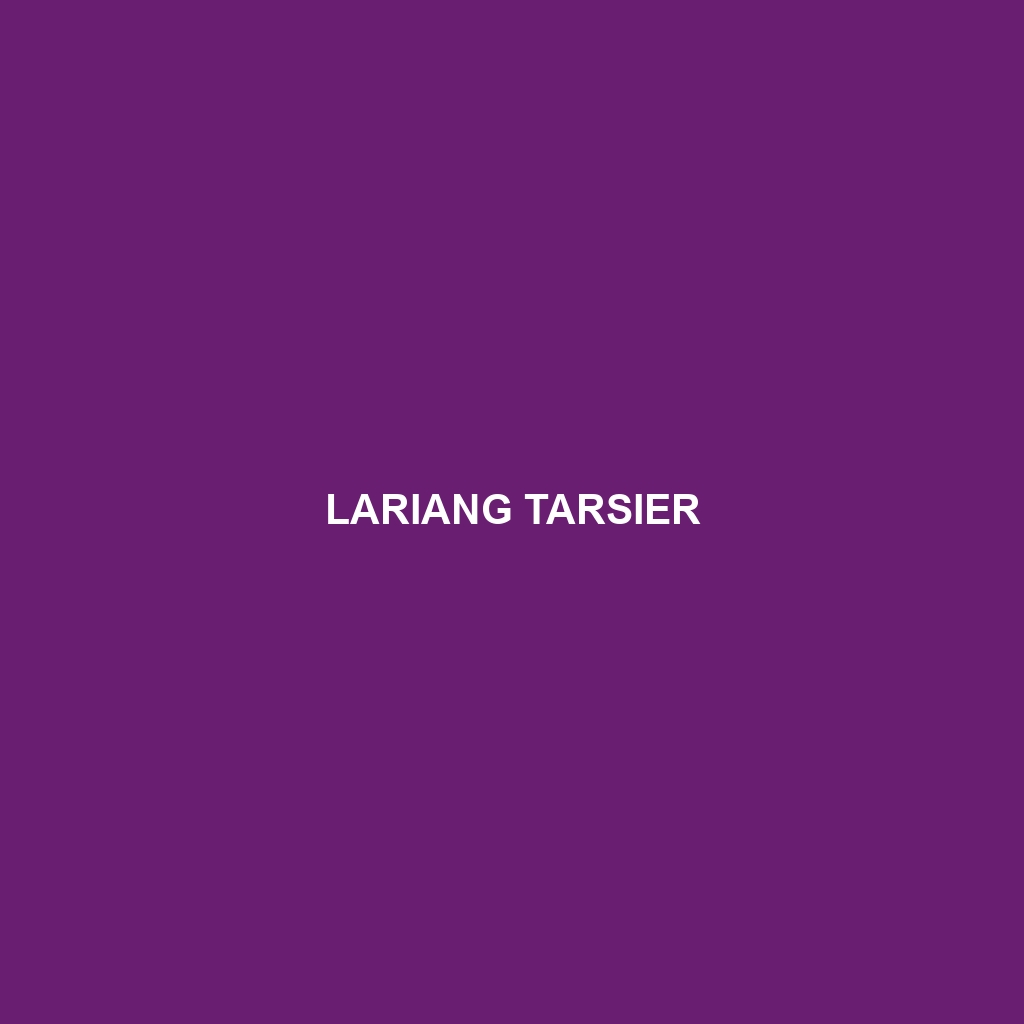 Lariang Tarsier