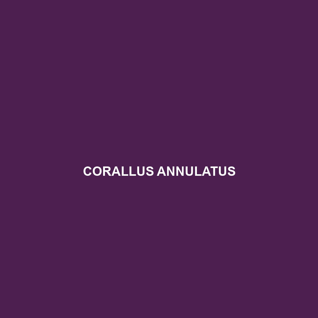 Corallus annulatus