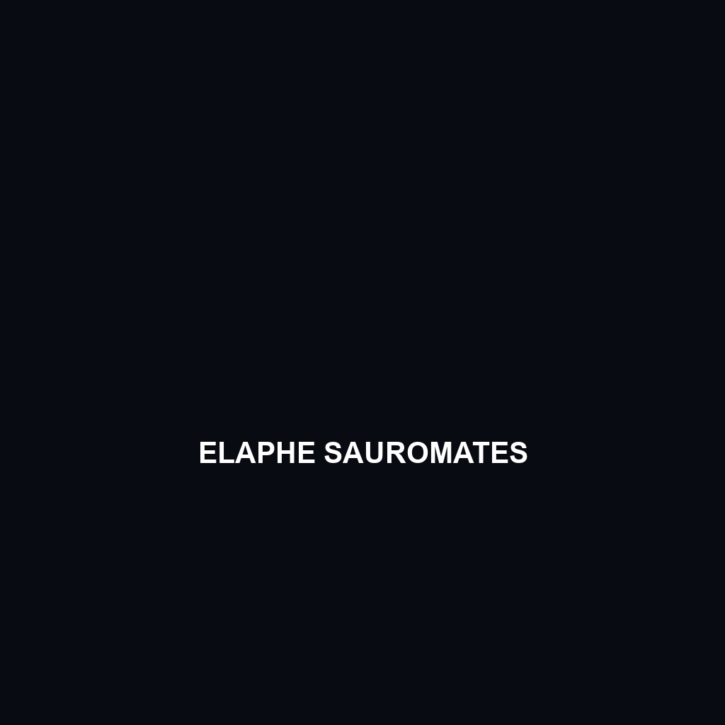 Elaphe sauromates