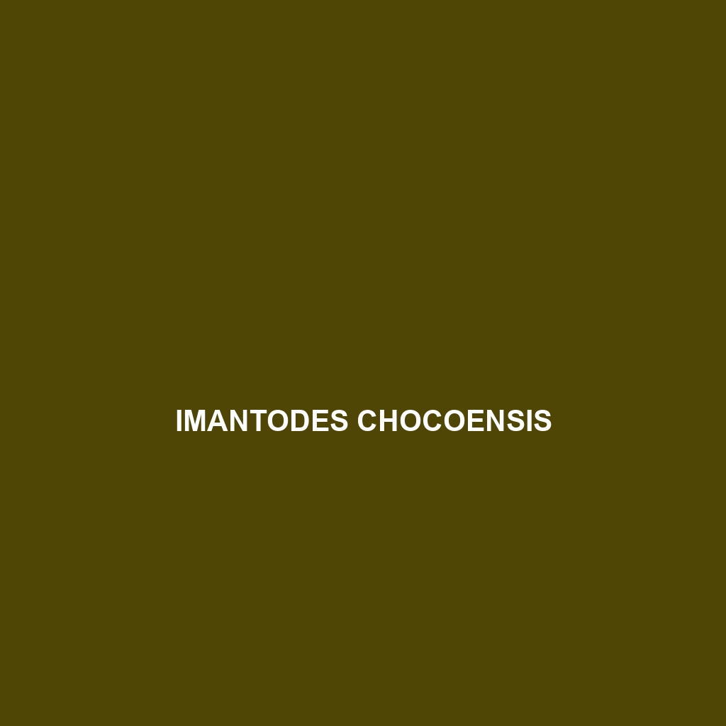 Imantodes chocoensis