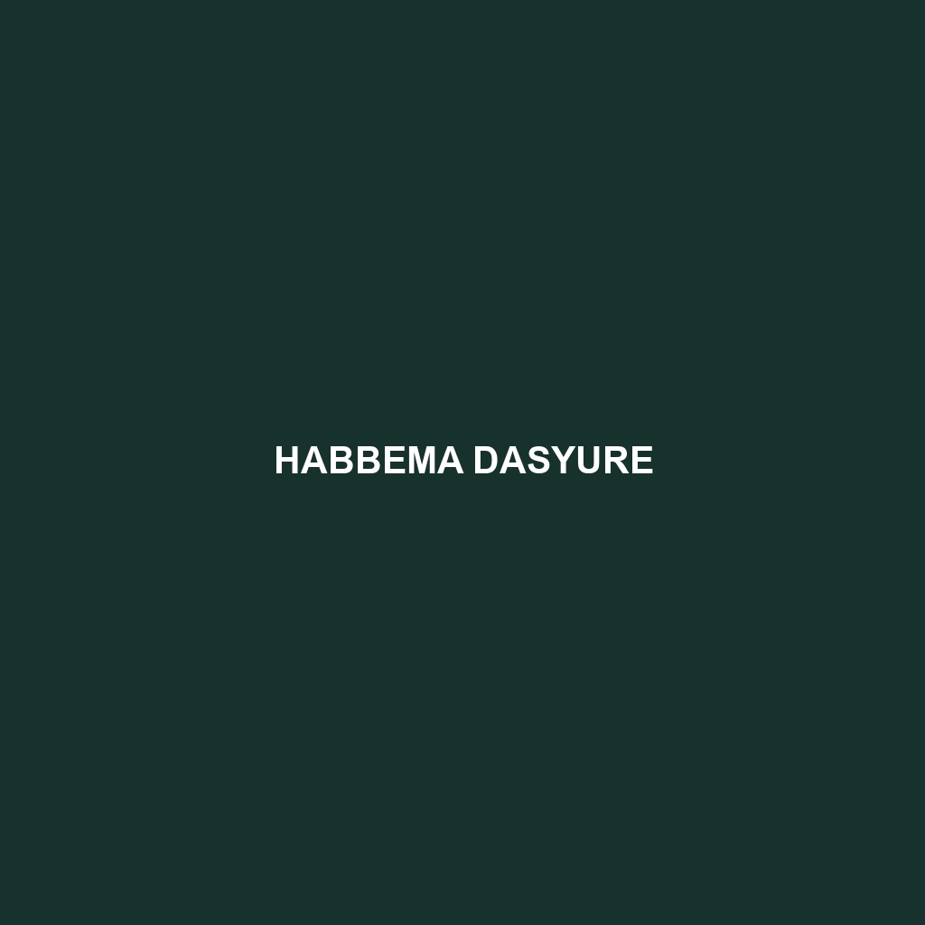 Habbema Dasyure