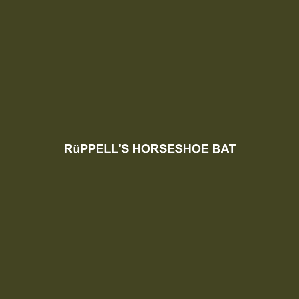 Rüppell's Horseshoe Bat