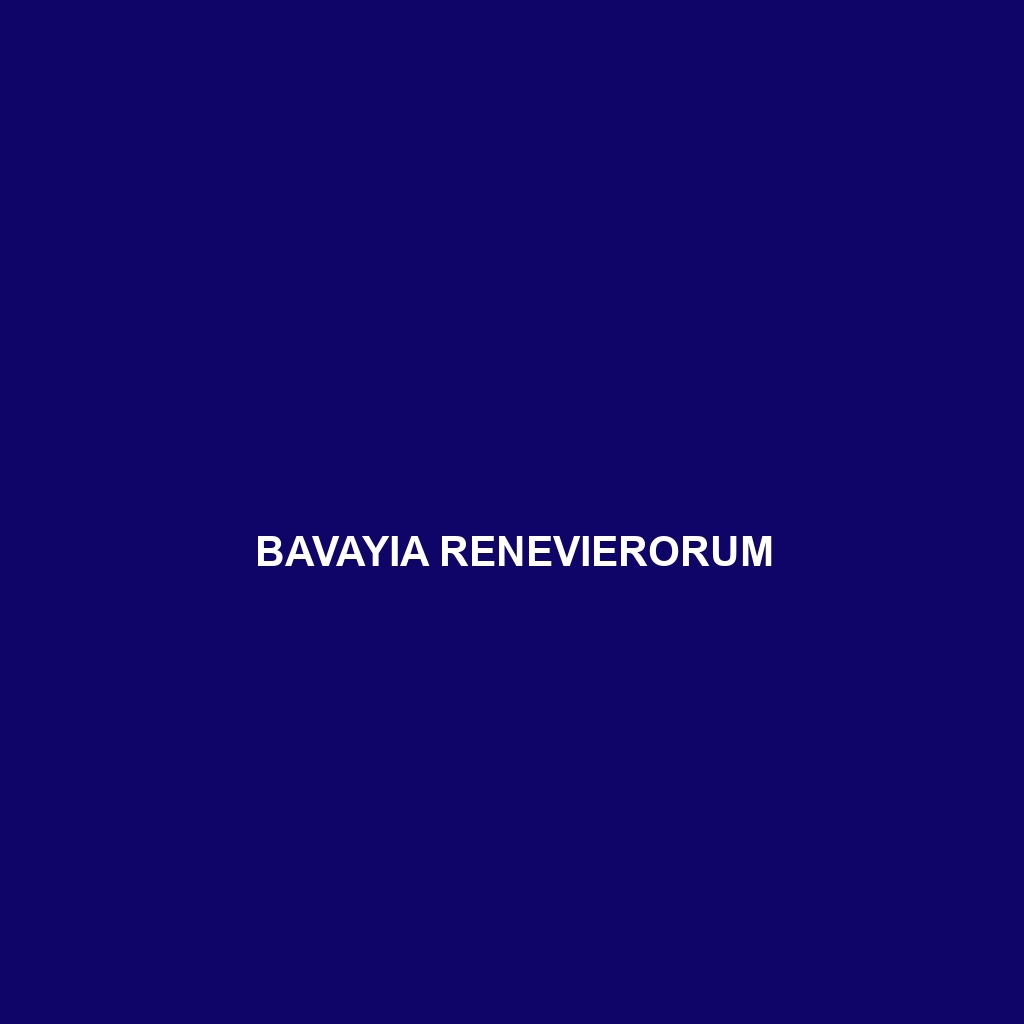 Bavayia renevierorum