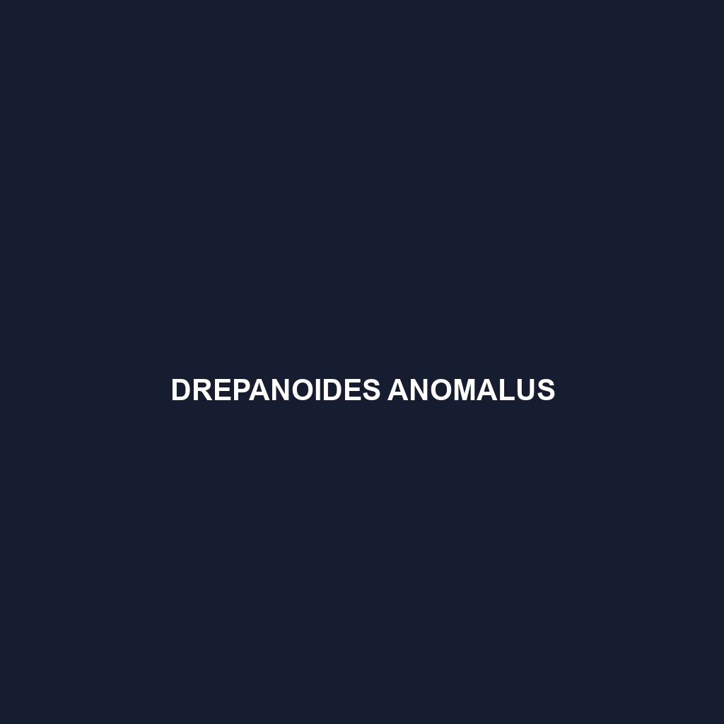 Drepanoides anomalus