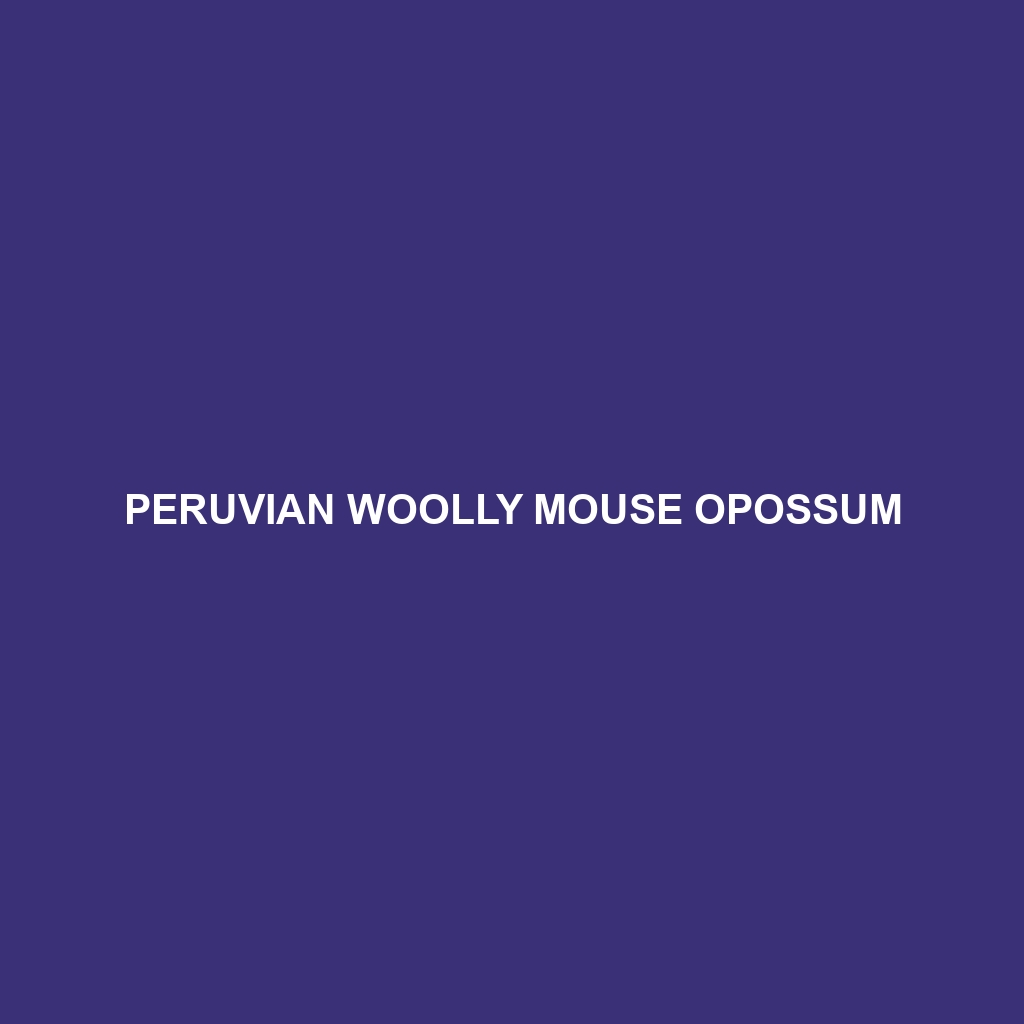 Peruvian Woolly Mouse Opossum