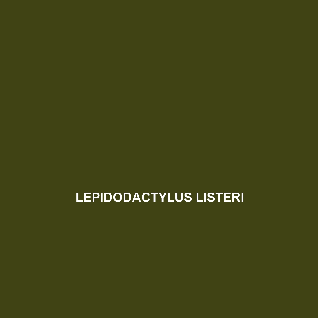 Lepidodactylus laticinctus