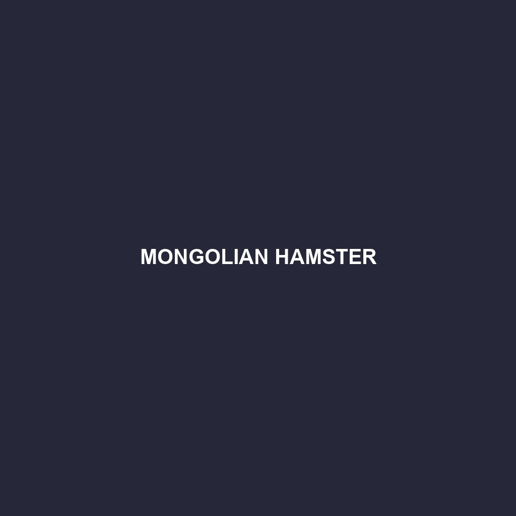 Mongolian Hamster