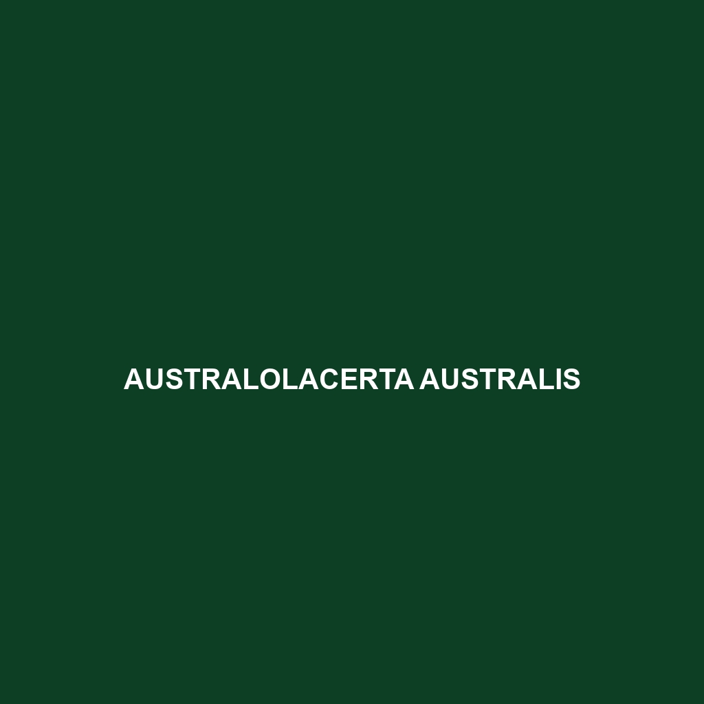 Australolacerta australis