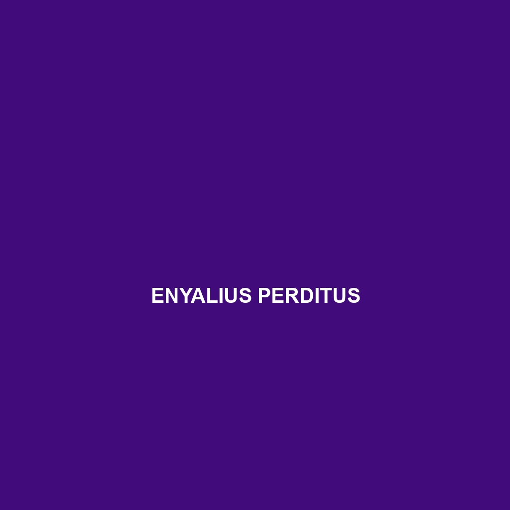 Enyalius perditus