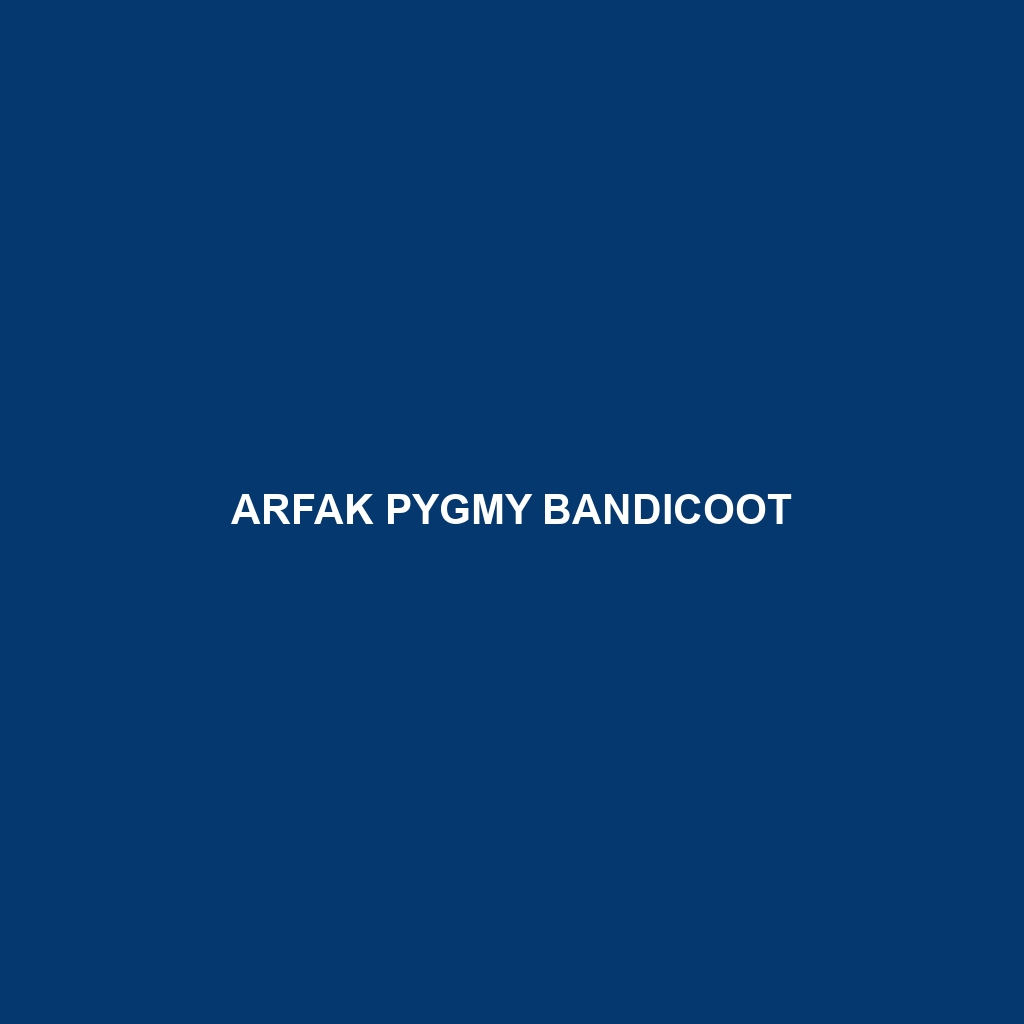 Arfak Pygmy Bandicoot