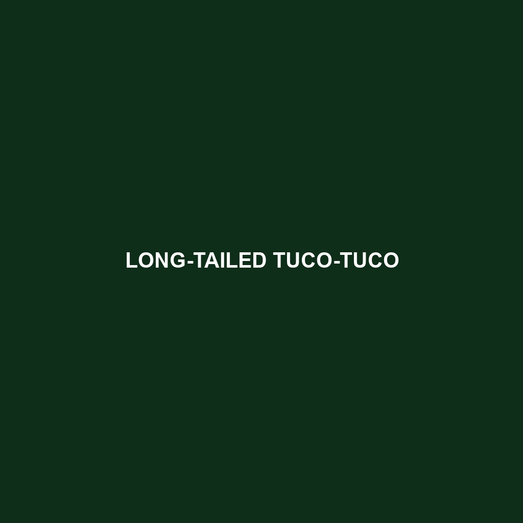 Long-tailed Tuco-tuco