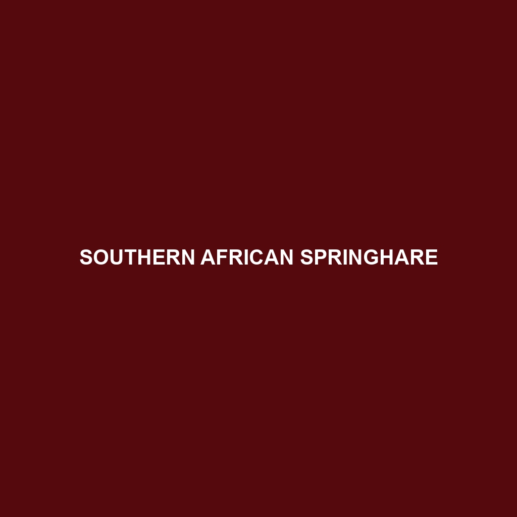 Southern African Springhare