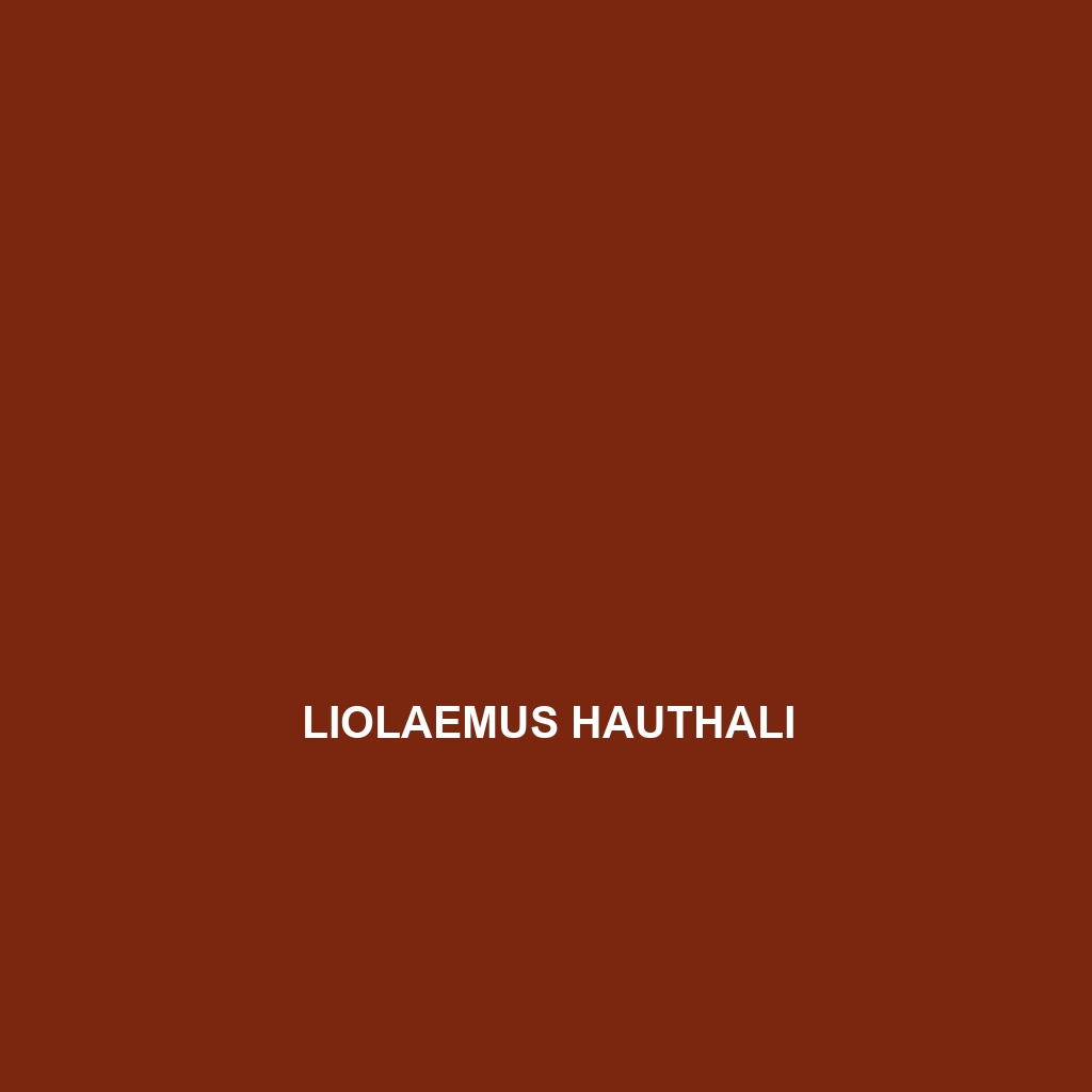 Liolaemus hauthali