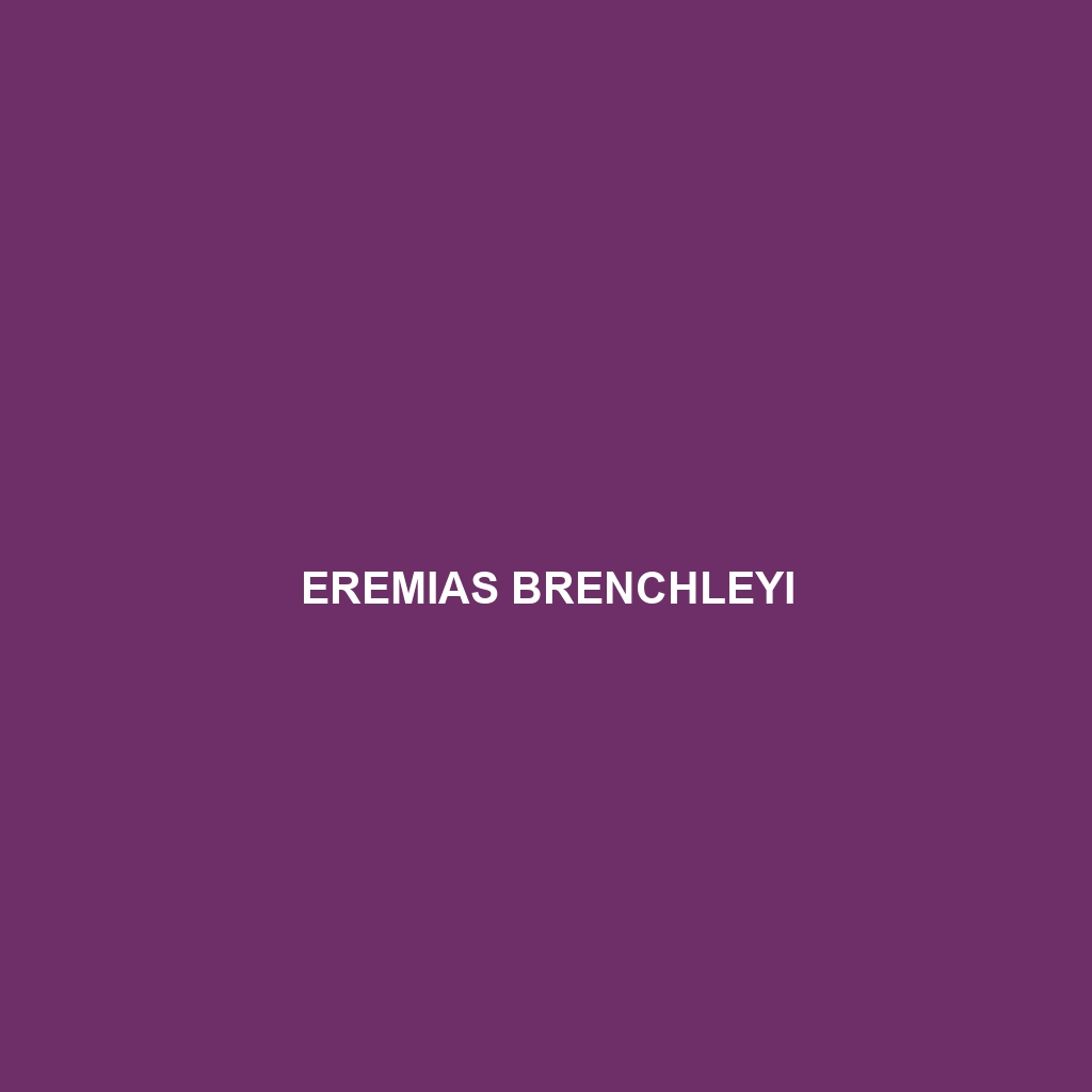 Eremias brenchleyi