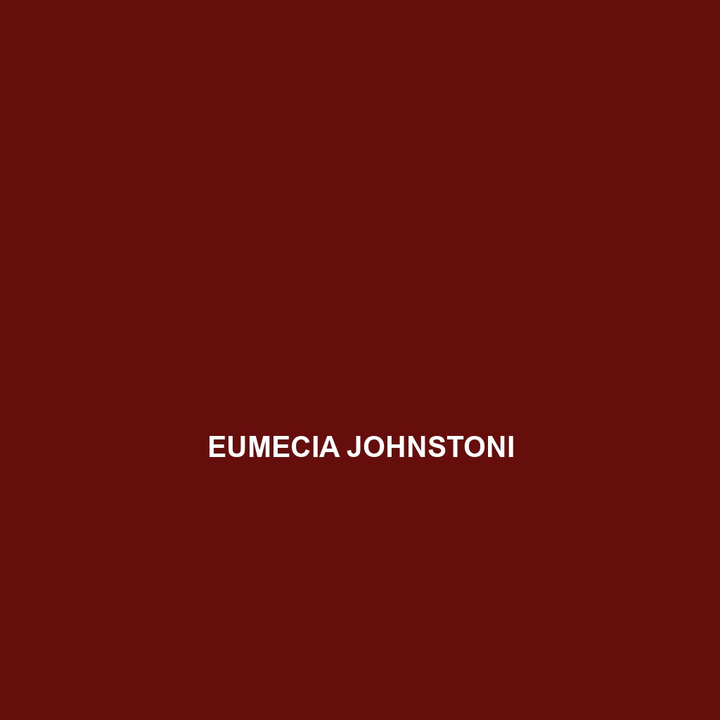 Eumecia johnstoni