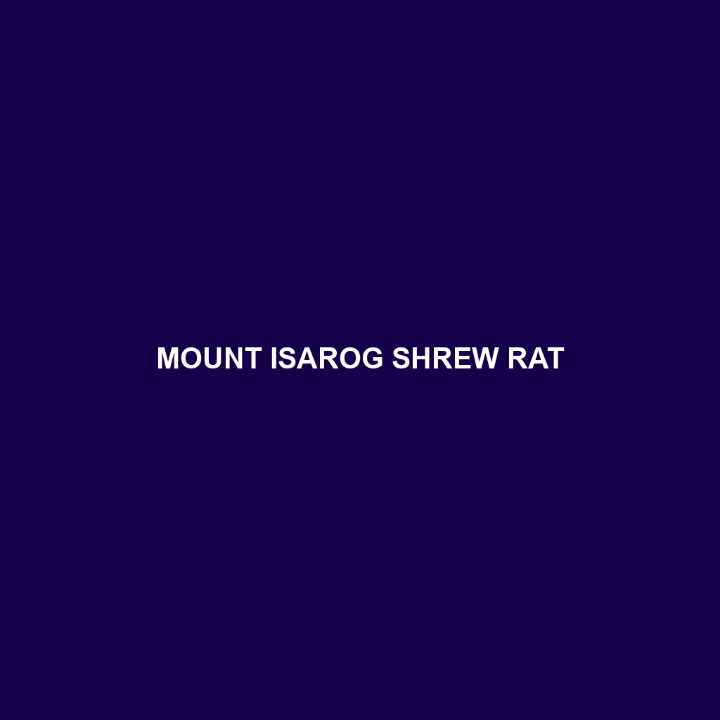 Mount Isarog Shrew Rat