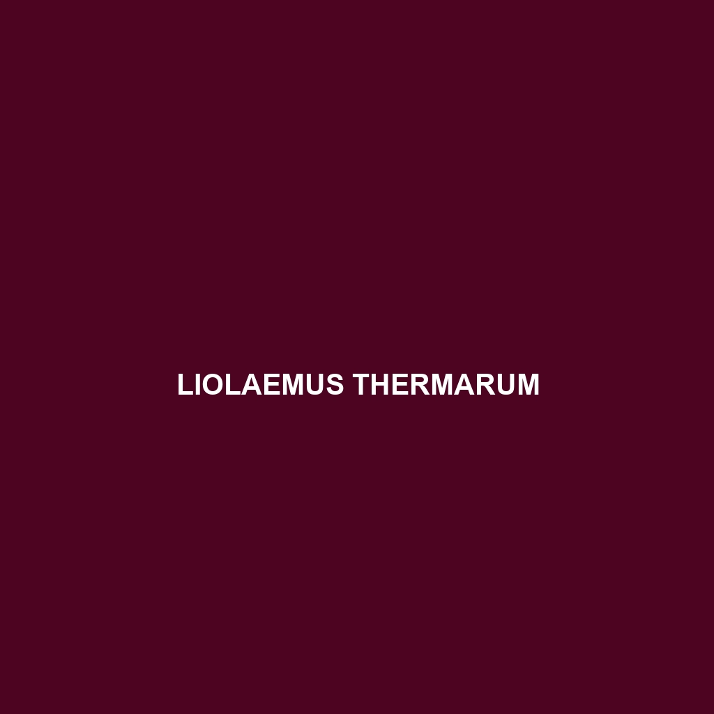 Liolaemus thermarum