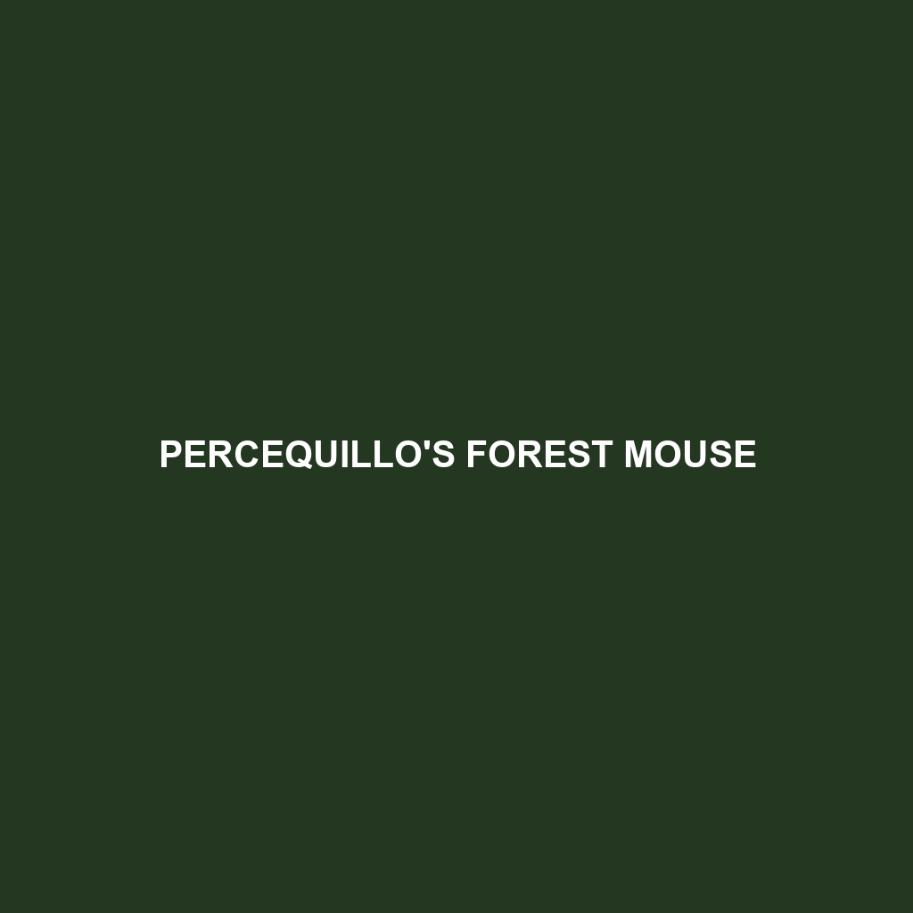 Percequillo's Forest Mouse