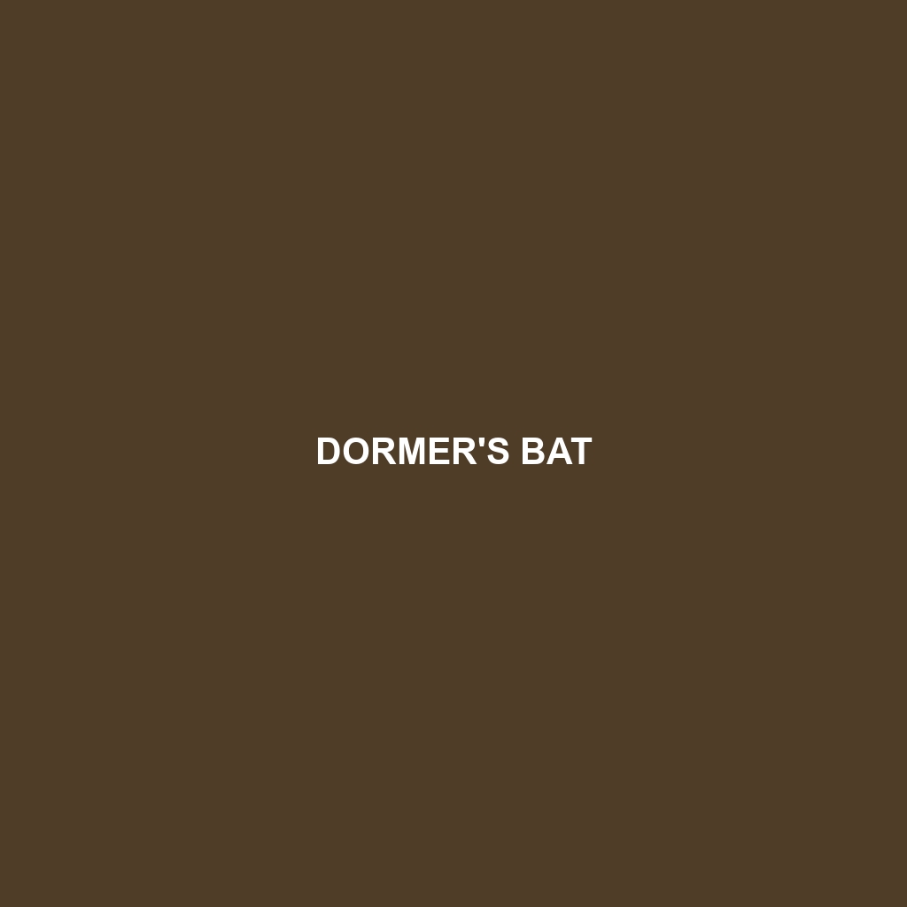 Dormer's Bat