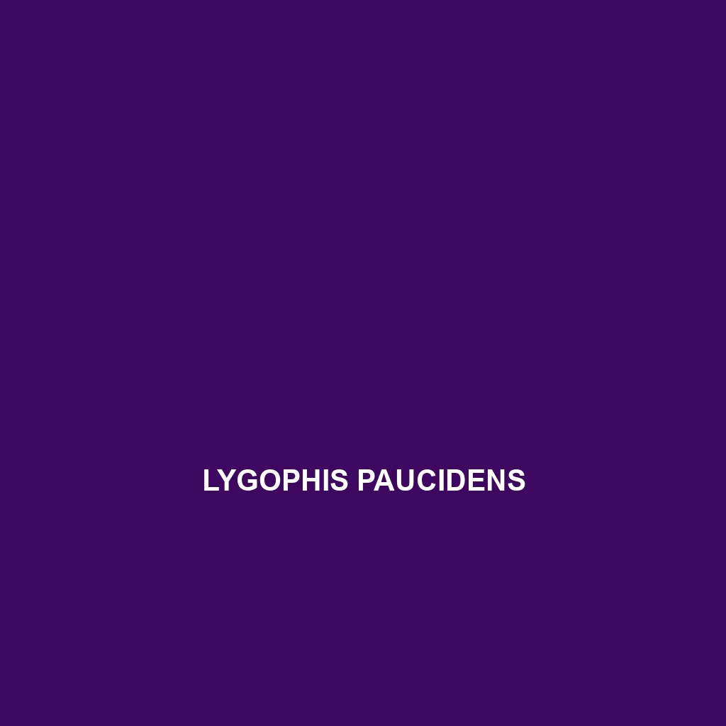 Lygophis paucidens