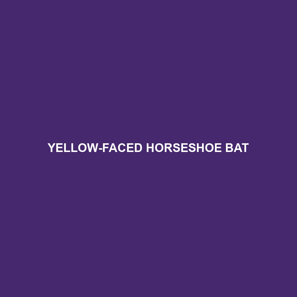 Yellow-faced Horseshoe Bat