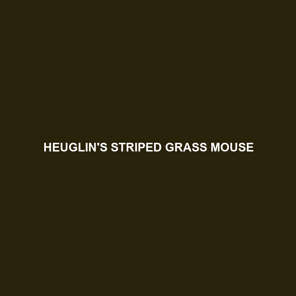 Heuglin's Striped Grass Mouse