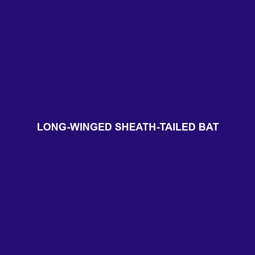 Long-winged Sheath-tailed Bat