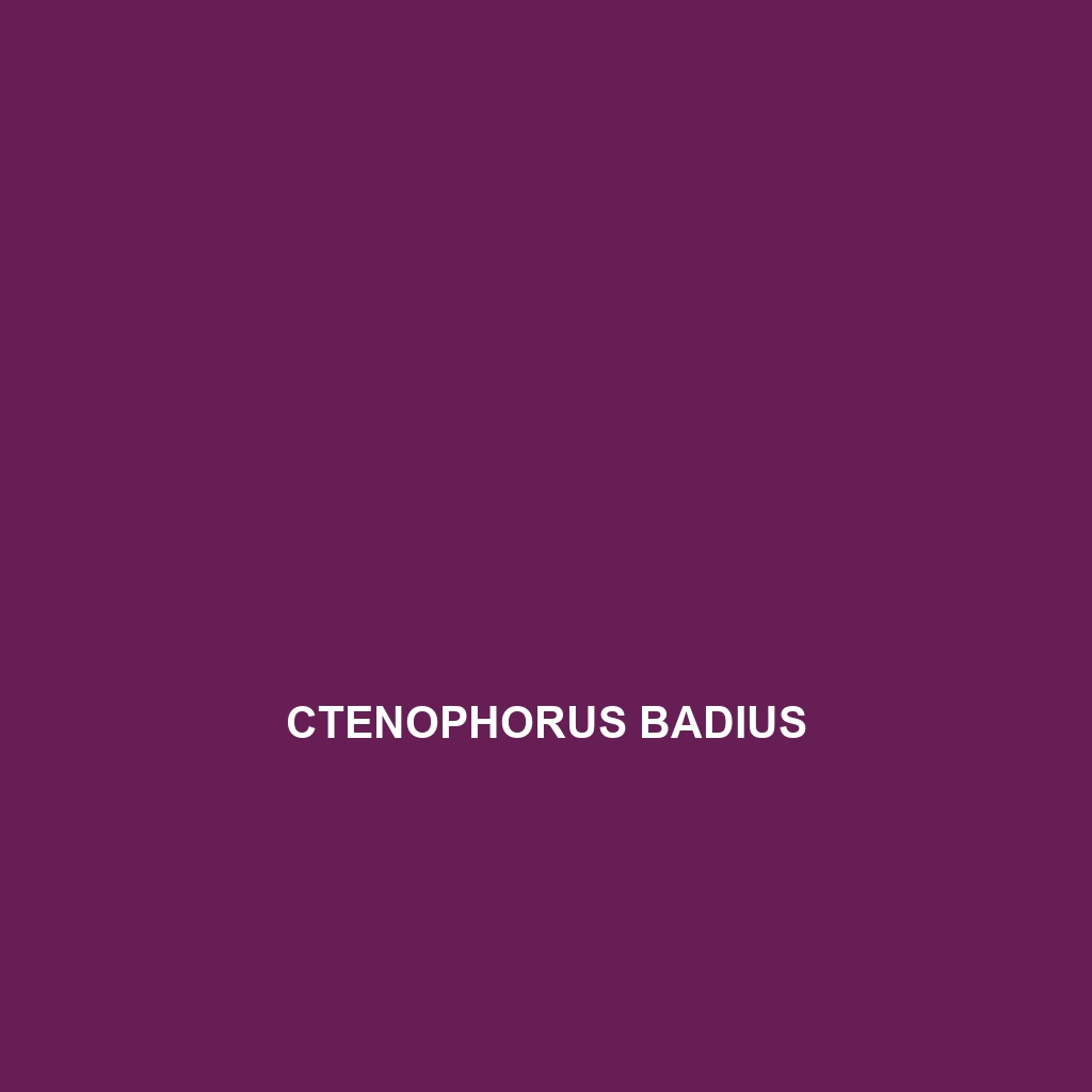 Ctenophorus badius