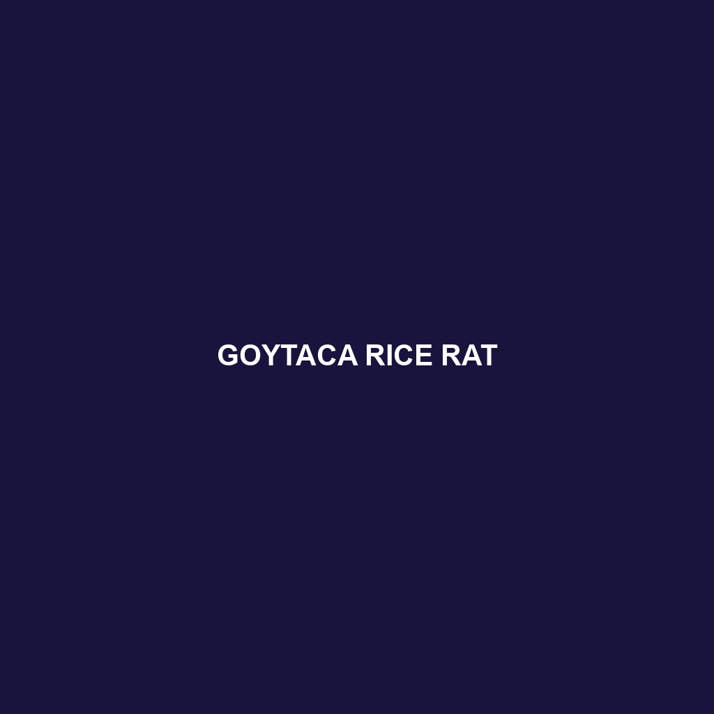 Goytaca Rice Rat