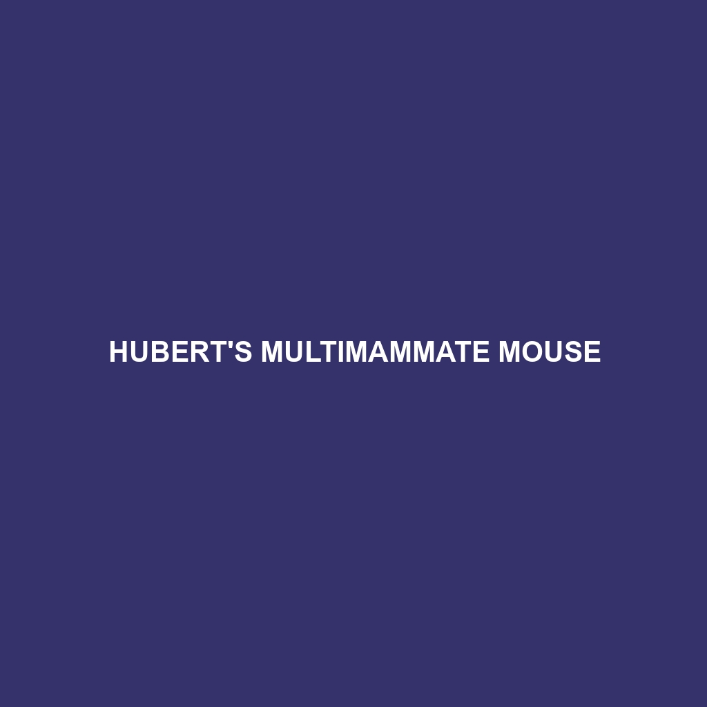 Hubert's Multimammate Mouse