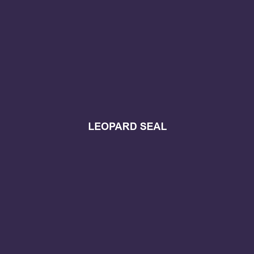 Leopard Seal