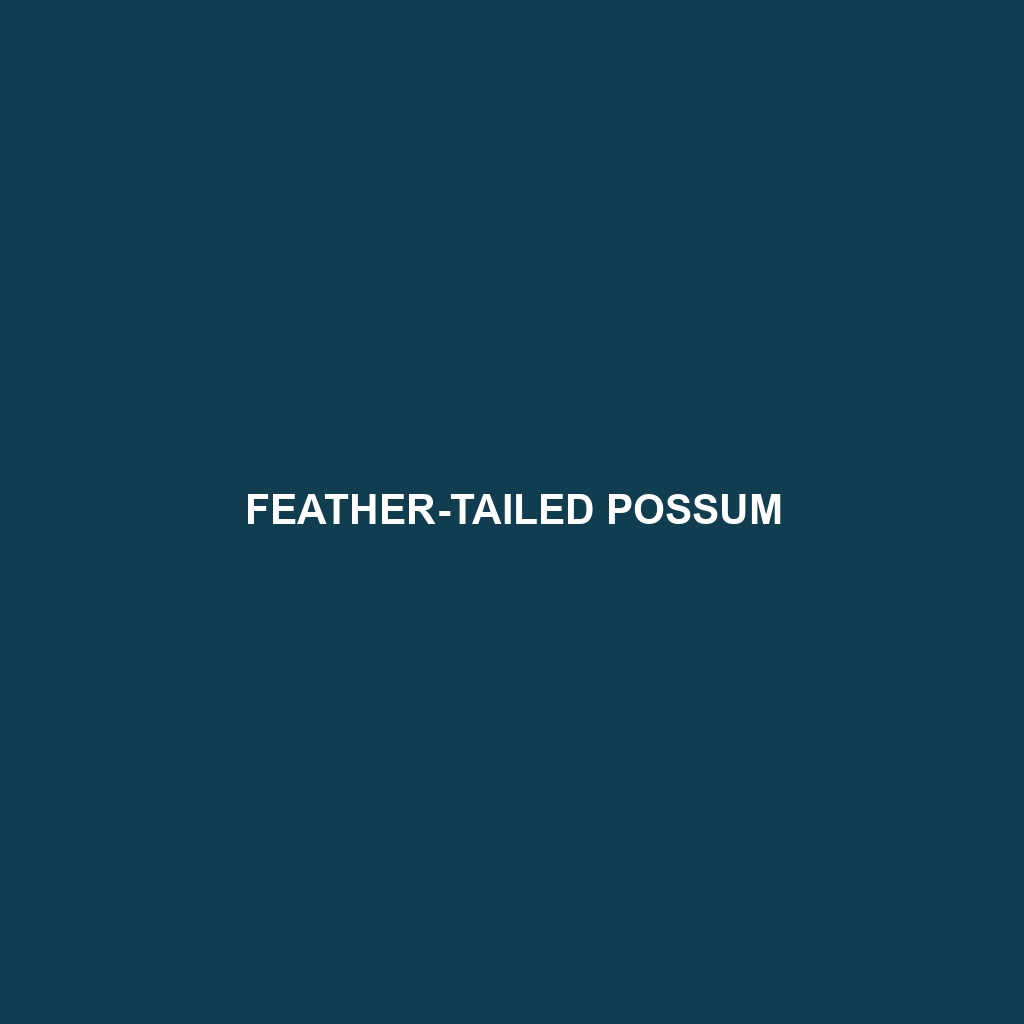 Feather-tailed Possum