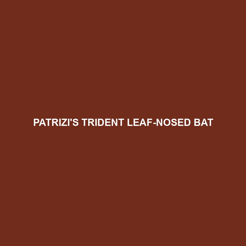 Patrizi's Trident Leaf-nosed Bat