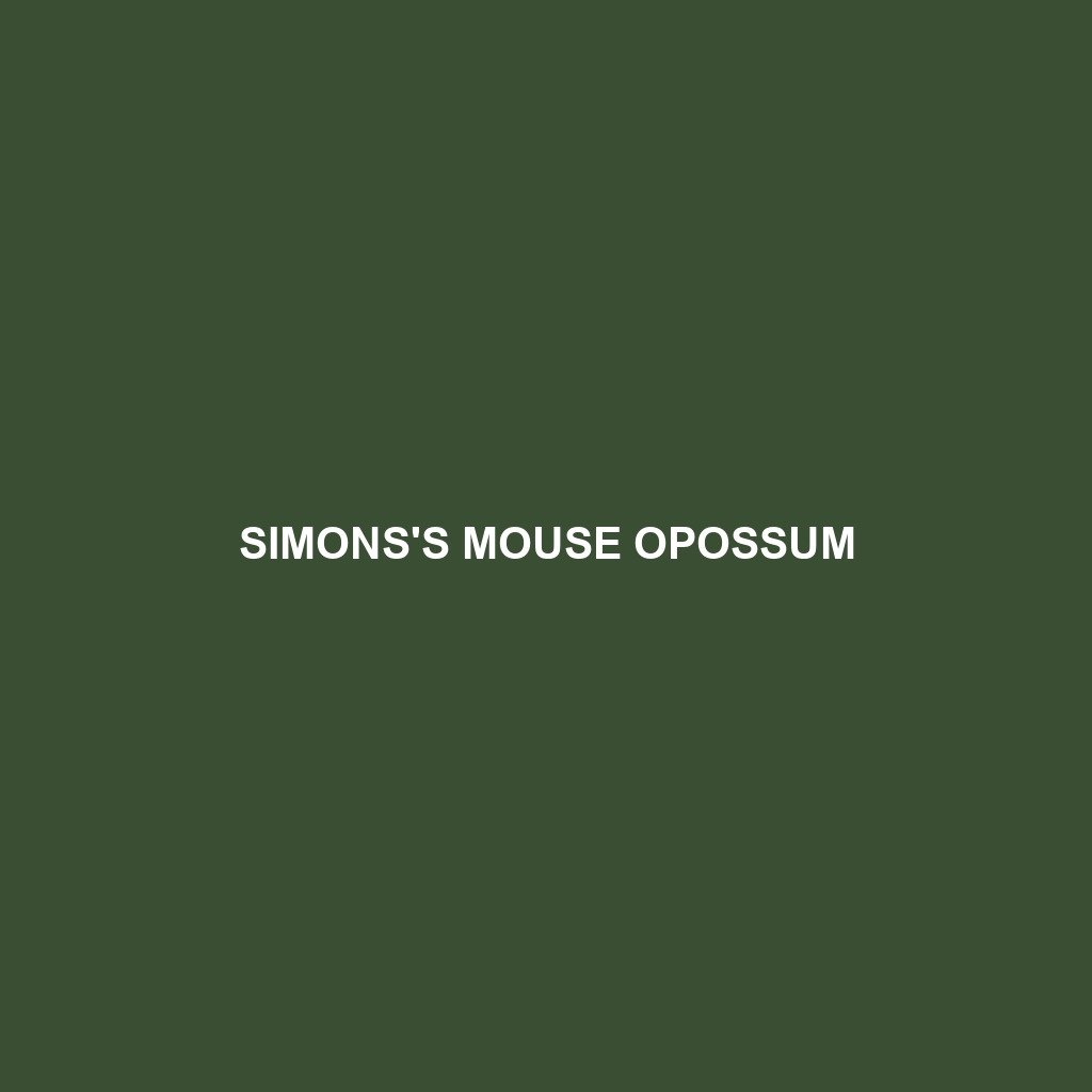 Simons's Mouse Opossum