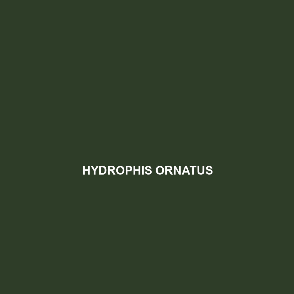 Hydrophis ornatus