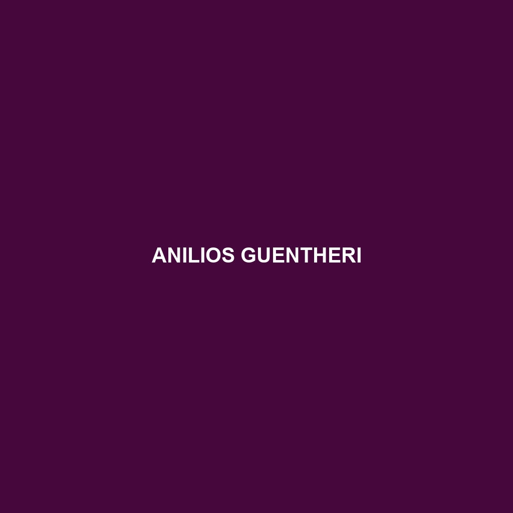 Anilios guentheri