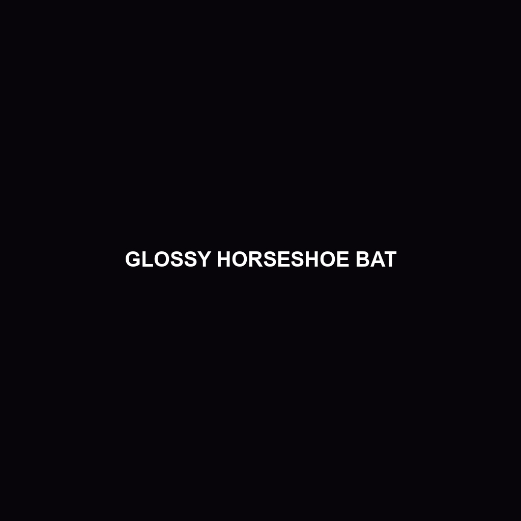 Glossy Horseshoe Bat