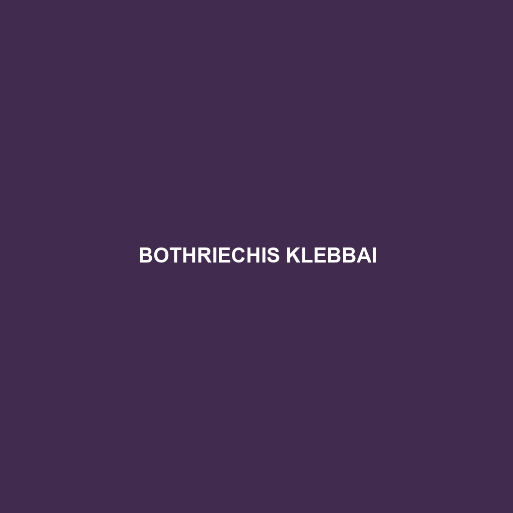 Bothriechis klebbai