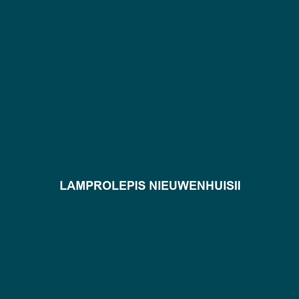 Lamprolepis nieuwenhuisii