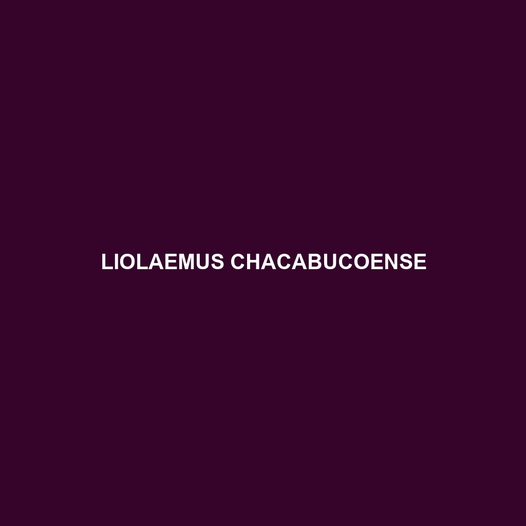 Liolaemus chacabucoense