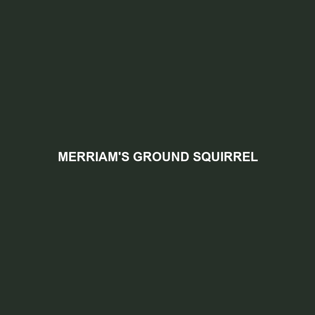 Merriam's Ground Squirrel