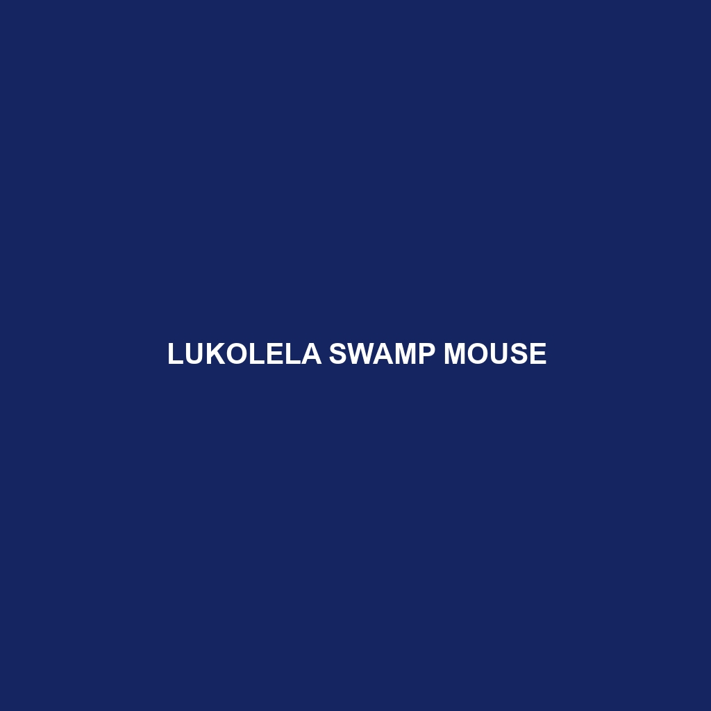 Lukolela Swamp Mouse