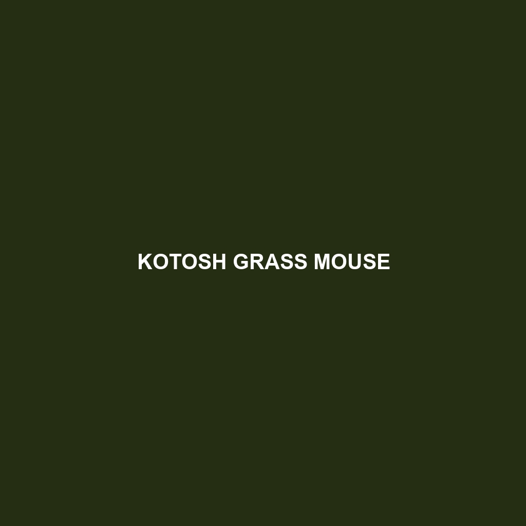 Kotosh Grass Mouse