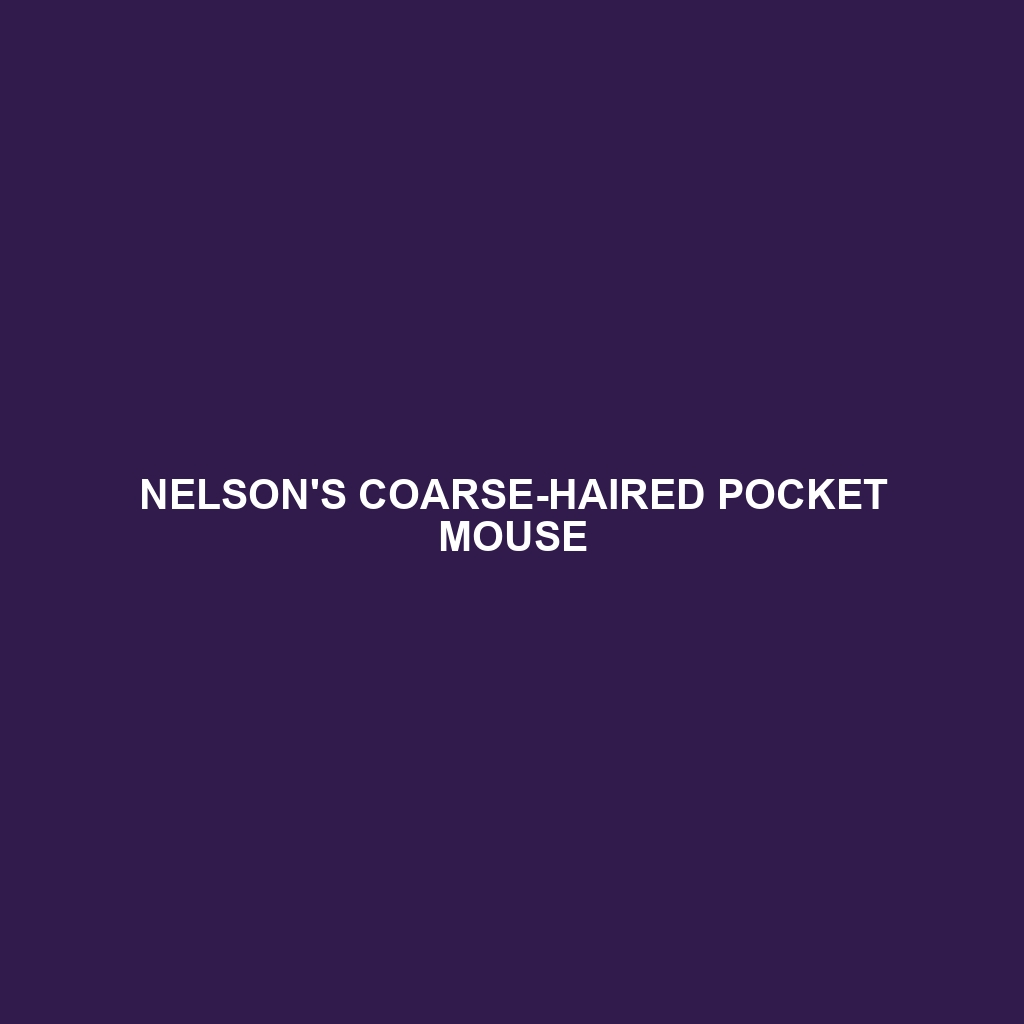 Nelson's Coarse-haired Pocket Mouse