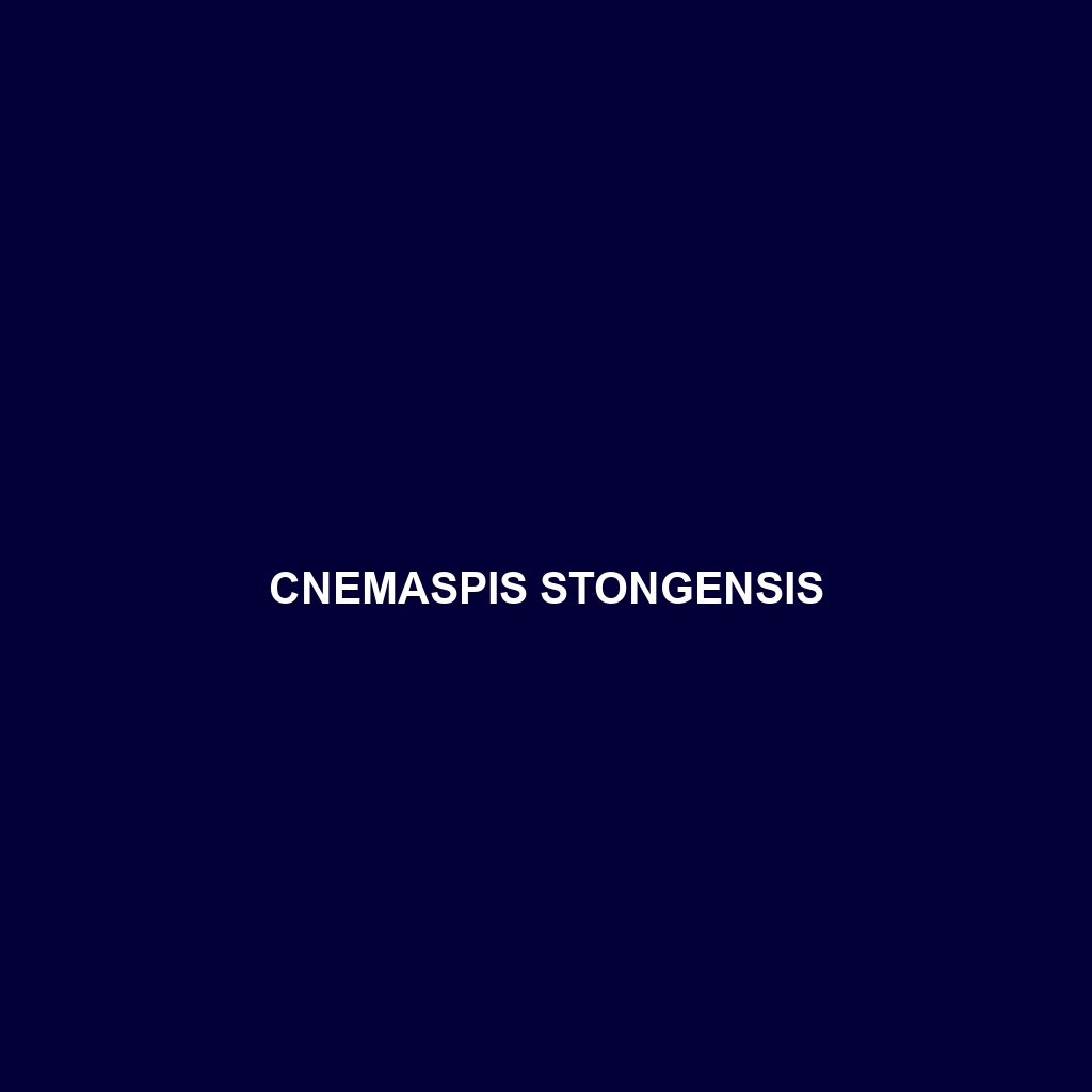 Cnemaspis stongensis